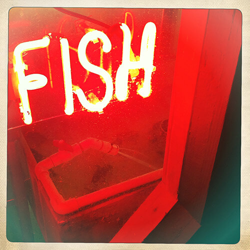 Bill's fish market, Sunset Beach, North Carolina, 2012