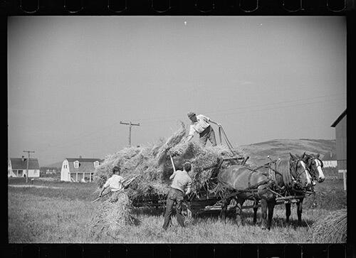 Carl Mydans, Threshing crew loading bundles, Tygart Valley, West Virginia, August, 1936. Library of Congress Prints and Photographs Division, FSA/OWI Black & White Negatives Collection, LC-USF33-000720-M3.