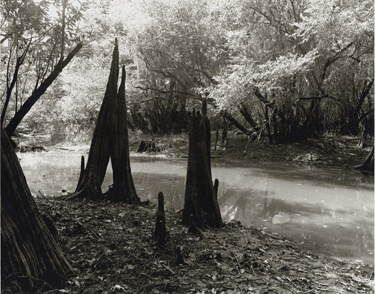 Nancy Marshall, Altamaha River, Georgia, 2010.