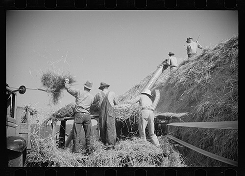 Carl Mydans, Threshing, Tygart Valley, West Virginia, August, 1936. Library of Congress Prints and Photographs Division, FSA/OWI Black & White Negatives Collection, LC-USF33-000723-M2.