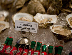 Kelly Yandell, Elm Grove oysters, Galveston, Texas, 2011.