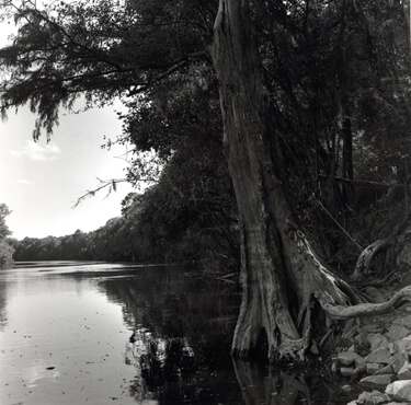 Nancy Marshall, Altamaha River, Georgia, 2010.