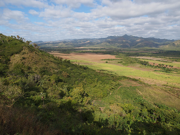 Charles D. Thompson, Jr., Fallow, newly plowed, and re-growing sugarcane fields, east of Trinidad, Cuba, 2010.