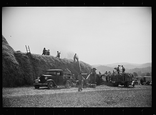 Carl Mydans, Threshing, Tygart Valley, West Virginia, August, 1936. Library of Congress Prints and Photographs Division, FSA/OWI Black & White Negatives Collection, LC-USF33-000723-M5.