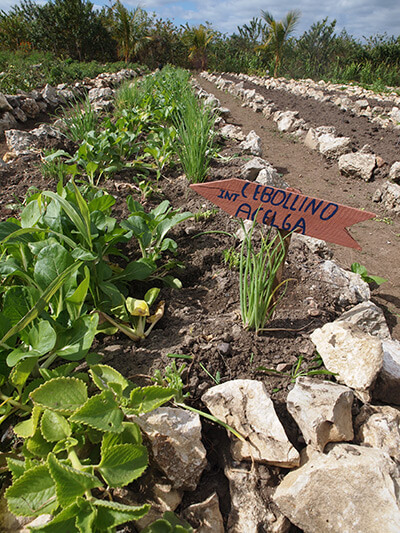 Charles D. Thompson, Jr., Community plot with 10 members named 