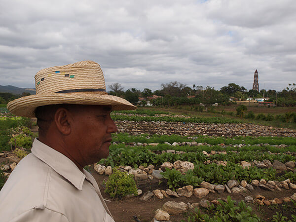 Charles D. Thompson, Jr., Pedro Rodriguez Pérez, Vice-President of the Organoponico Manaca Iznaga, looking over the vegetables he and nine other farmers grow for a living. In the background is the infamous tower in the Valle de los Ingeneros where slave owners overlooked their workers in fields. Trinidad, Cuba, December 2010.