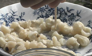 Zachariah McCannon, Hominy made with Hickory King corn, PLACE, YEAR.