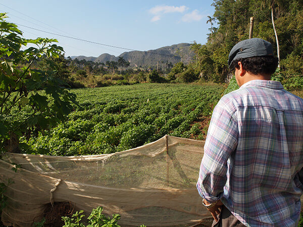 Charles D. Thompson, Jr., Humberto Ríos Labrada looks over a farm research plot. Pinar del Rio, Cuba, December 2010.