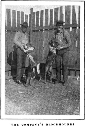 The company's bloodhounds, outside Lockhart, Alabama. Alexander Irvine, "My Life in Peonage," Appleton's Magazine, July 1907, 7.