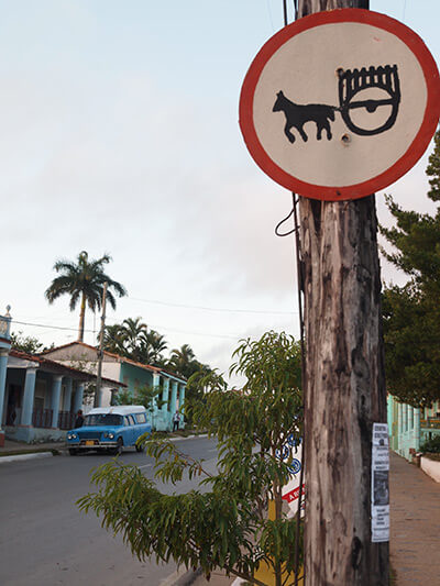 Charles D. Thompson, Jr., Early morning in Viñales, a sign depicting a common form of farm transport along with one of thousands of US vehicles from the 1950s still on the road thanks to Cuban ingenuity, Viñales, Cuba, January 2011.