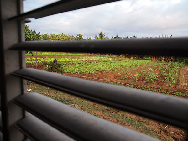Charles D. Thompson, Jr., The view Tomás Pérez Ricardo, age 25, and his wife wake to each morning. Trinidad, Cuba, December 2010.