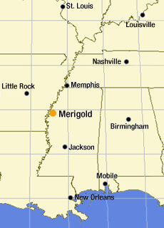 Sarah Toton, Map of U.S. South emphasizing Merigold, Mississippi, 2006. Sarah Toton, Map of U.S. South emphasizing Merigold, Mississippi, 2006.