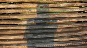 Dan Albergotti, Self-Portrait as Shadow on Skeletal Shed, 2008. Dan Albergotti, Self-Portrait as Shadow on Skeletal Shed, 2008.