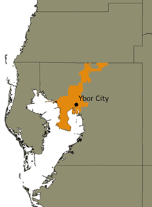 Map of the City of Tampa within Hillsborough County Map of the City of Tampa within Hillsborough County