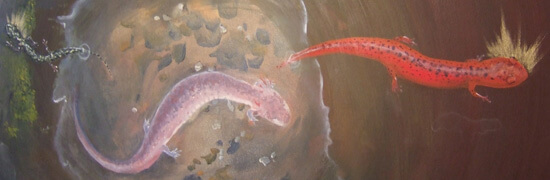 Detail from Nancy Lowe, Source, Species Icons exhibit, Schatten Gallery, Emory University, Atlanta, Georgia, 2009. Detail from Nancy Lowe, Source, Species Icons exhibit, Schatten Gallery, Emory University, Atlanta, Georgia, 2009.