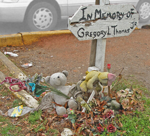 Tom Zarilli, Wilting plush toys, Atlanta, Georgia, 2006. Tom Zarilli, Wilting plush toys, Atlanta, Georgia, 2006.