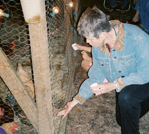 Allison O. Adams, A guest visits with the chickens at the first Cluckapalooza, Decatur, Georgia, September 2004. Allison O. Adams, A guest visits with the chickens at the first Cluckapalooza, Decatur, Georgia, September 2004.