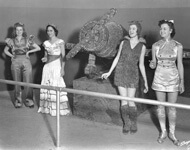 Burgert Brothers, An Exhibit with an airplane made of cigars at the Florida State Fair, Tampa, Florida, 1941. Catalog no.: B29-f-00003493.