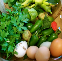 Allison O. Adams, Home harvest, including eggs, Decatur, Georgia, October 2009. Allison O. Adams, Home harvest, including eggs, Decatur, Georgia, October 2009.