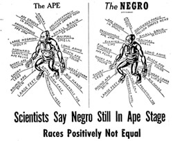 Racist propaganda illustration from a NSRP party pamphlet. Racist propaganda illustration from a NSRP party pamphlet.