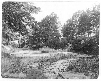 Ponce De Leon Springs circa 1895, from the Healey Collection, courtesy of the Atlanta-Fulton County Public Library Ponce De Leon Springs circa 1895, from the Healey Collection, courtesy of the Atlanta-Fulton County Public Library