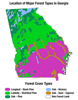 Location of Major Forest Types in Georgia.