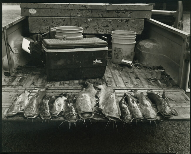 Tom Rankin, Fish, Montgomery Island, Arkansas, 2005.