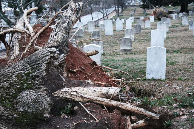 Helena Peixoto, Nine months after tornado, Atlanta, Georgia, 2008.