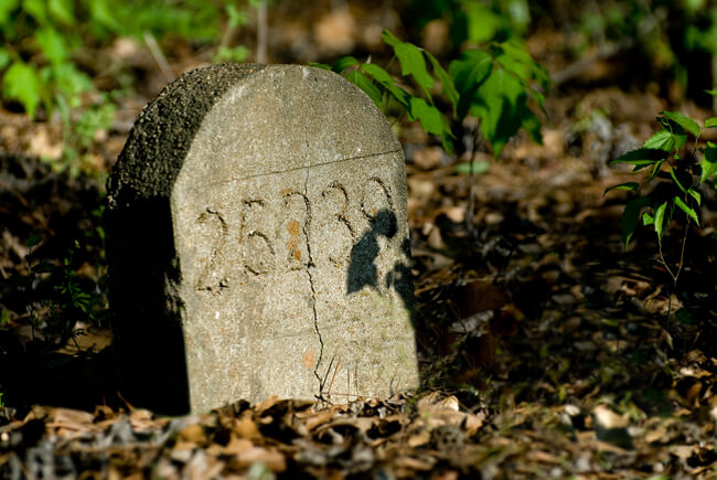 Thomas McKane, Just a number, Old Bryce Hospital Cemetery, Tuscaloosa, Alabama, 2007. 