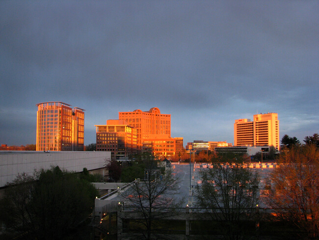 Ashley Bradford, Burning bright, Tysons Corner, Virginia, 2009.