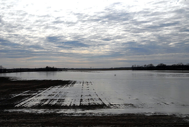 Kate Medley, Arkansas Delta, Brinkley, Arkansas, 2008.