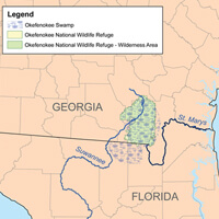 Karl Musser, Map of Okefenokee Swamp, 2007. Image courtesy of Wikimedia Commons. Karl Musser, Map of Okefenokee Swamp, 2007. Image courtesy of Wikimedia Commons.
