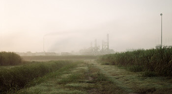 Richard Misrach, Sugar Cane and Refinery, Mississippi River Corridor, Louisiana, 1998 from Petrochemical America, photographs by Richard Misrach, Ecological Atlas by Kate Orff (Aperture, 2012). © Richard Misrach, courtesy of Pace/MacGill Gallery, New York; Fraenkel Gallery, San Francisco; and Marc Selwyn Gallery, Los Angeles. Richard Misrach, Sugar Cane and Refinery, Mississippi River Corridor, Louisiana, 1998 from Petrochemical America, photographs by Richard Misrach, Ecological Atlas by Kate Orff (Aperture, 2012). © Richard Misrach, courtesy of Pace/MacGill Gallery, New York; Fraenkel Gallery, San Francisco; and Marc Selwyn Gallery, Los Angeles.