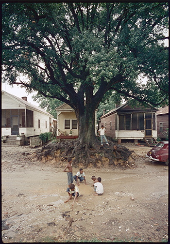 Children at Play, Mobile, Alabama, 1956