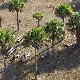 Screenshot of Santa Catalina de Guale, a Spanish Franciscan mission once located on St. Catherines. Screenshot courtesy of Southern Spaces.