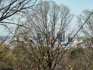 Birmingham skyline through the white oaks. Birmingham, Alabama, March 21, 2008. Photograph by Jon Smith.