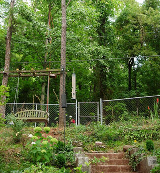 Workers clearing powerline easement, Hydrangea arborescens 'Annabelle' in foreground. Birmingham, Alabama, July 5, 2007. Photograph by Jon Smith.