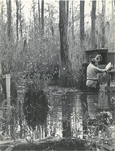 Mosquito collection, Emory University Field Station on Ichauway Plantation, ca. 1938-1945. United States Public Health Services Office of Malaria Control in War Areas, Melvin H. Goodwin papers, Manuscript, Archives, and Rare Book Library, Emory University. Mosquito collection, Emory University Field Station on Ichauway Plantation, ca. 1938-1945. United States Public Health Services Office of Malaria Control in War Areas, Melvin H. Goodwin papers, Manuscript, Archives, and Rare Book Library, Emory University.