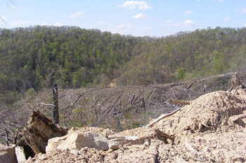 View of Robinson Forest from a strip mine on its south-southeast border, Robinson Forest, Kentucky, 2009. Photograph courtesy of Kentucky Heartwood. View of Robinson Forest from a strip mine on its south-southeast border, Robinson Forest, Kentucky, 2009. Photograph courtesy of Kentucky Heartwood.