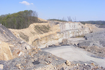 Strip mine on the south-southeast border of Robinson Forest, Kentucky, 2009. Photograph courtesy of Kentucky Heartwood. Strip mine on the south-southeast border of Robinson Forest, Kentucky, 2009. Photograph courtesy of Kentucky Heartwood.