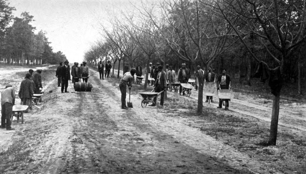 Male patients building a road at the Central State Hospital, Petersburg, Virginia, 1915