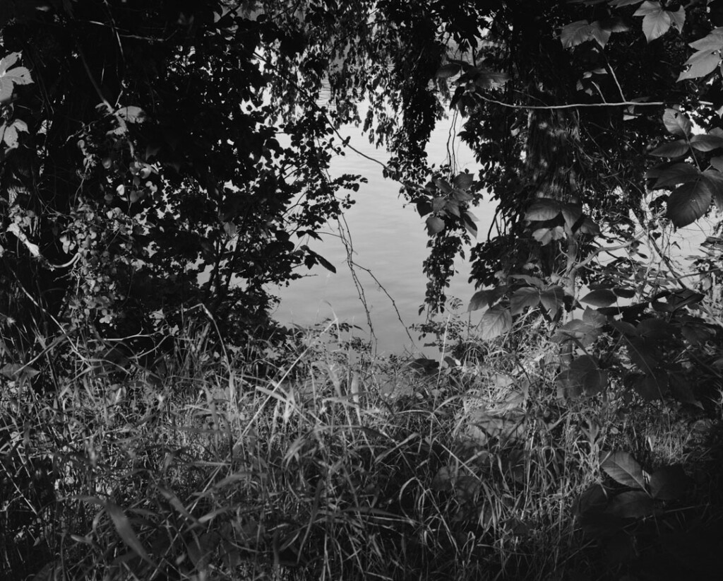 A bright patch of light shines over the James River through overhanging leaves.