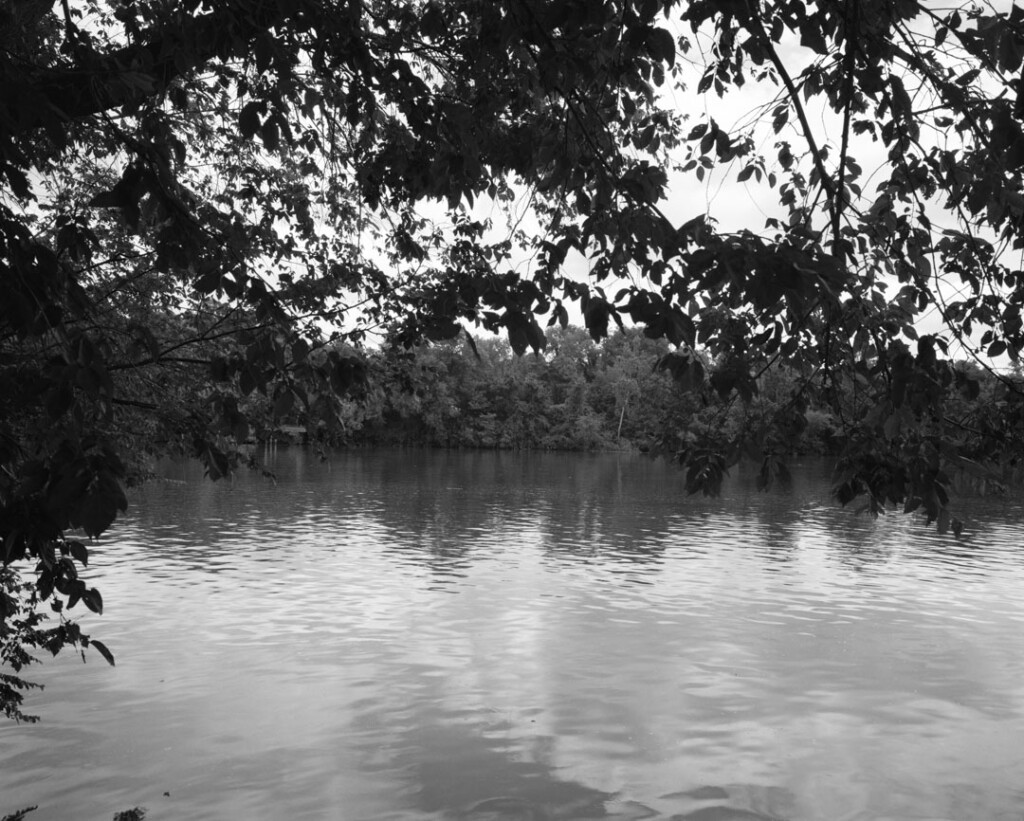 The waters of the James River ripple in the light with a line of trees in the background and the leaves of a large overhanging branch in the foreground.