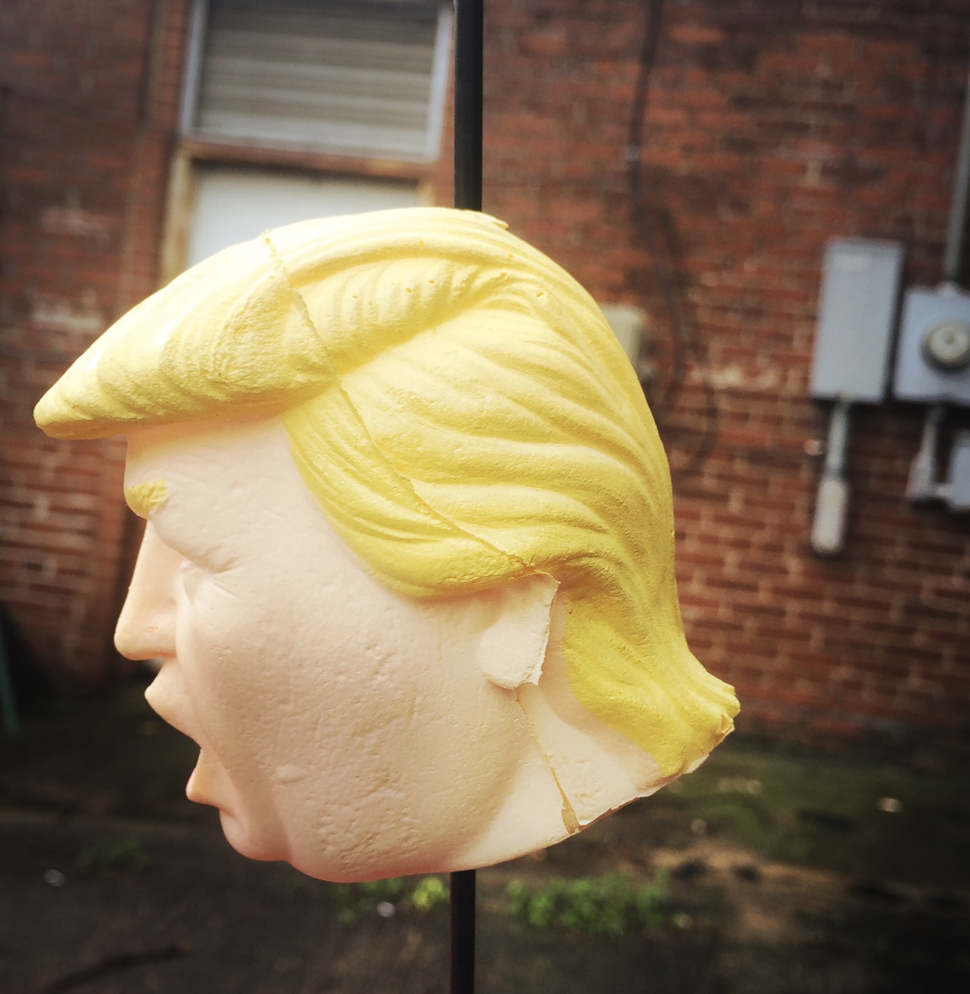 Styrofoam Trump head as yard sign.