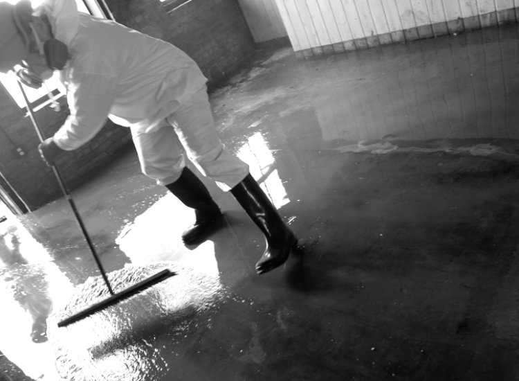 Pressure Washing and Sweeping Old Marshall Jail Hotel after Hurricane Helene.